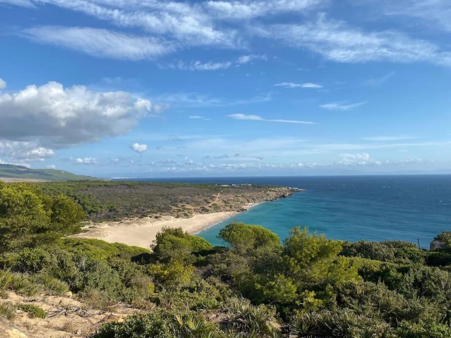 Bonita Casa En Bolonia Daire Dış mekan fotoğraf